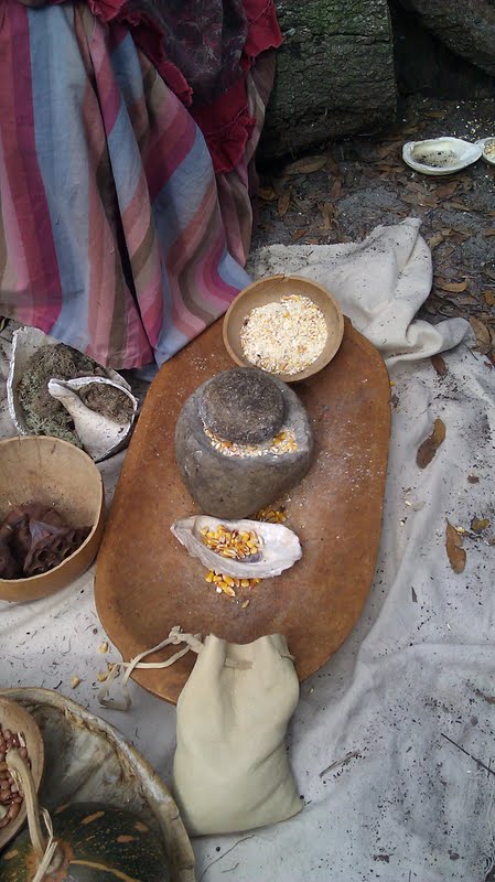 Traditional Foods Of The Seminole Tribe Of Florida