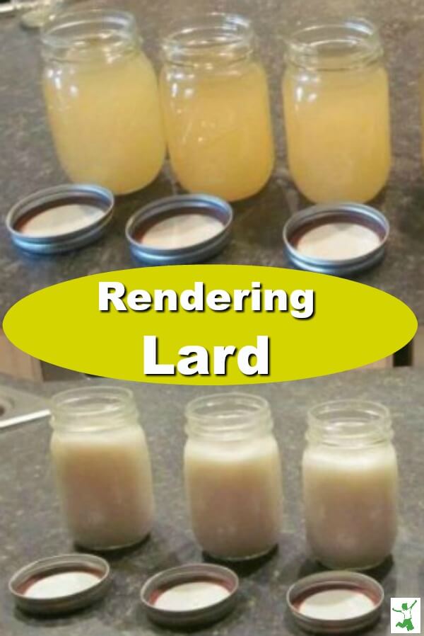 How to Render Lard Traditionally (+ Video) - The Healthy Home Economist