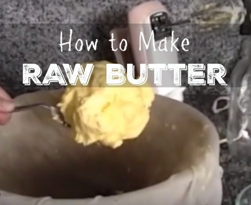 How to Make Raw or Pasteurized Butter!  The Organic Kitchen Blog and  Tutorials