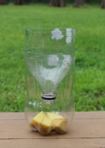 Quick and Easy Homemade Fly Trap - Healthy Home Economist