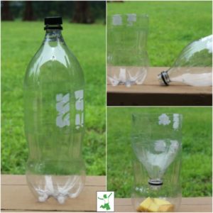 Quick and Easy Homemade Fly Trap - Healthy Home Economist