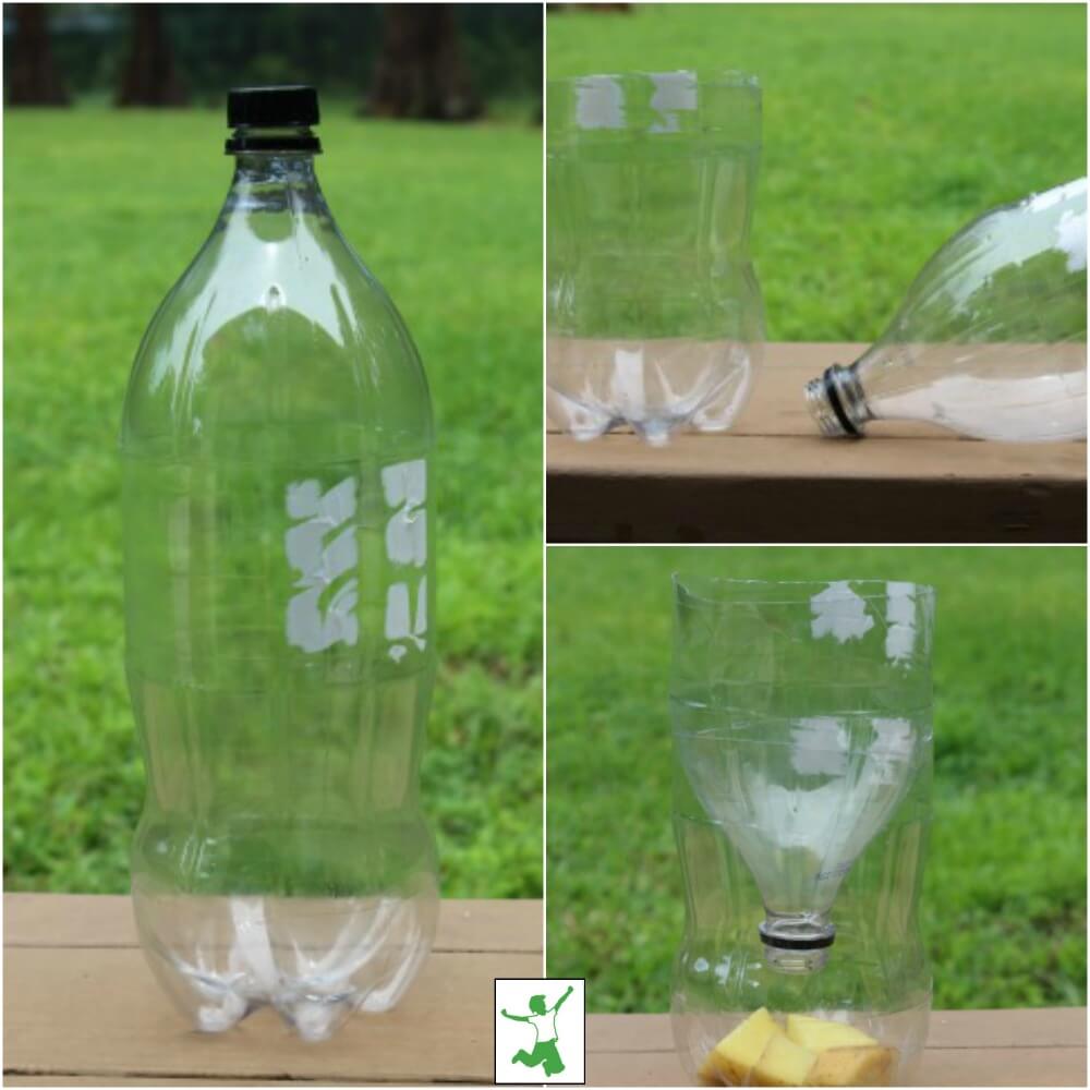 water bottle fly trap