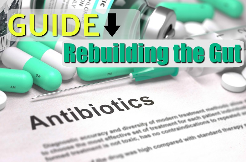 how-to-restore-gut-health-after-antibiotics-in-2021-gut-health-gut