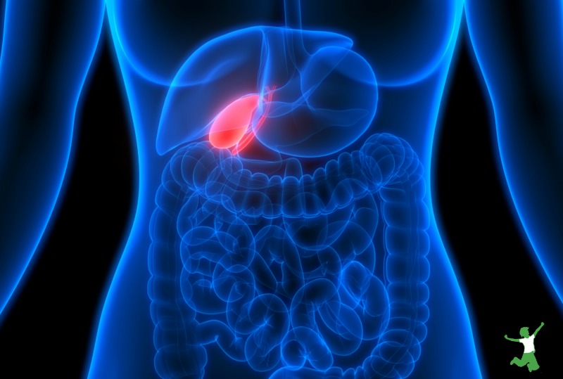 Easy Gallbladder Cleanse To Flush Stones Healthy Home Economist