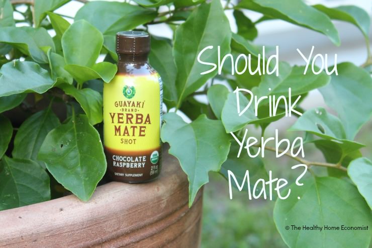 What Is Yerba Mate