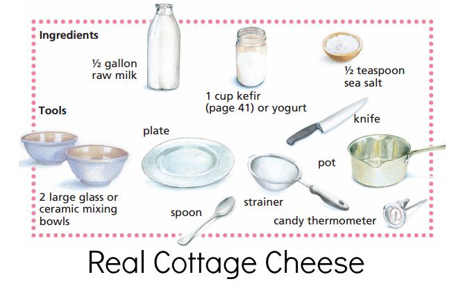 Probiotic Perfect Cottage Cheese Healthy Home Economist