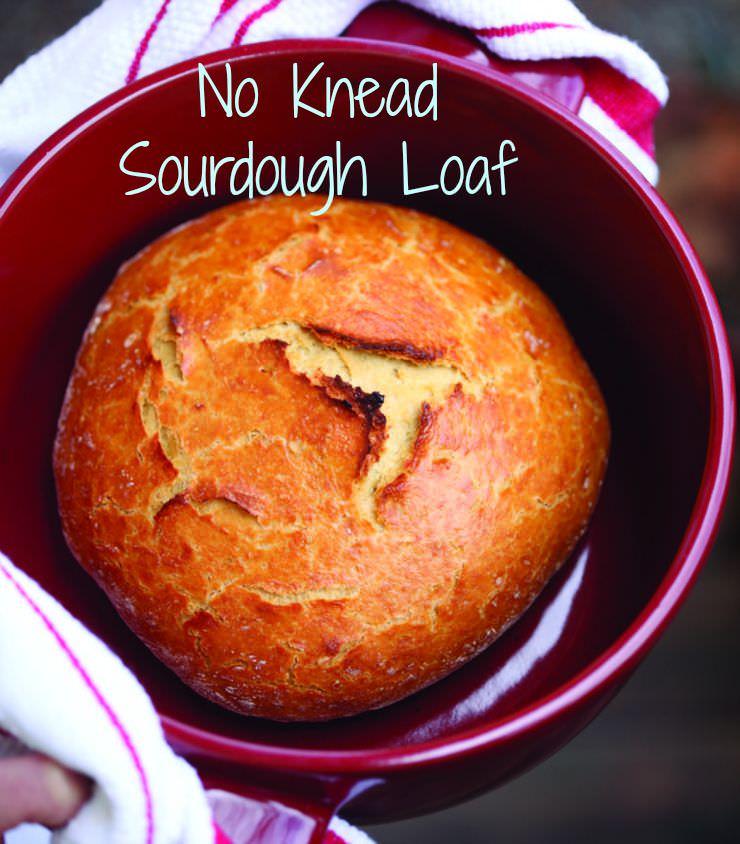 https://www.thehealthyhomeeconomist.com/wp-content/uploads/2015/08/no-knead-einkorn-sourdough-bread1.jpg