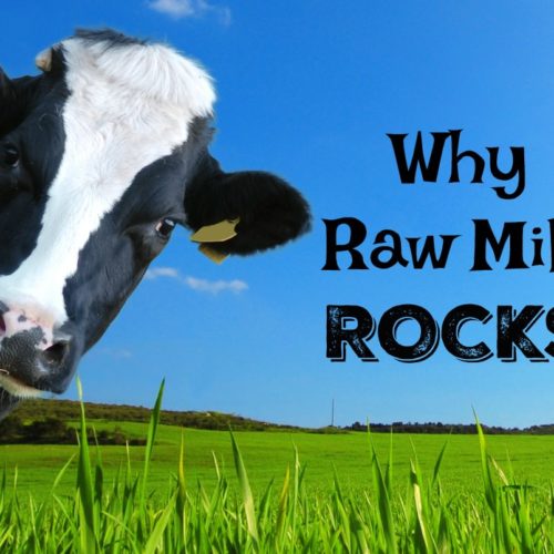 Raw Milk The Complete Guide To Natures Perfect Food Healthy Home