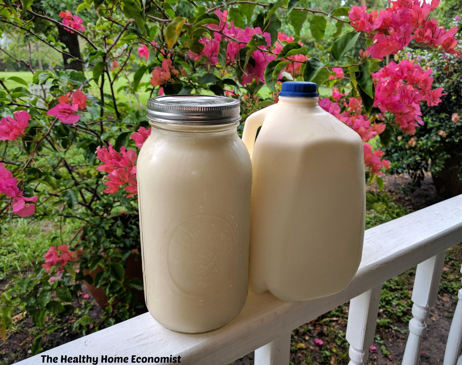 Raw Milk- 1/2 Gallon- Jar Trade