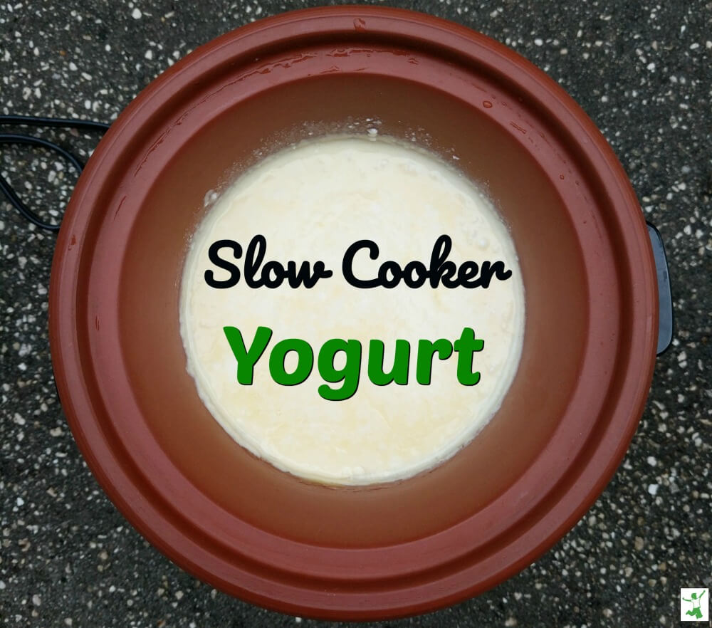 Easy Homemade Yogurt in the Instant Pot :: GAPS Intro, keto