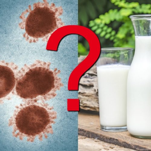 101 Uses For Sour Raw Milk (Clabber) | Healthy Home Economist