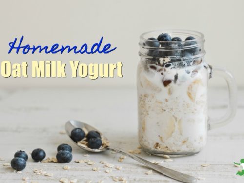 https://www.thehealthyhomeeconomist.com/wp-content/uploads/2020/07/how-to-make-oat-milk-yogurt-at-home-500x375.jpg