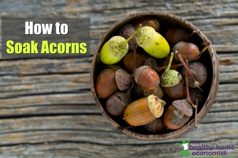 How to Soak Acorns. A Delicious (and Free!) Snack | Healthy Home Economist