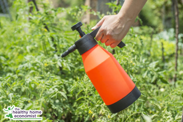 Safe Herbicides and Pesticides for Garden + Yard - Healthy Home Economist