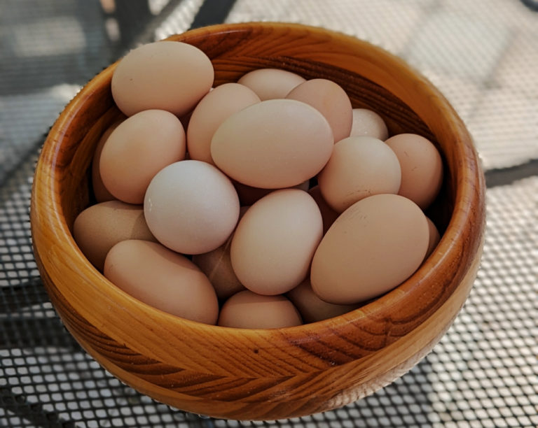 3 Best Ways To Preserve Fresh Eggs Healthy Home Economist   How To Preserve Fresh Eggs In Refrigerator Or Freezer 768x612 