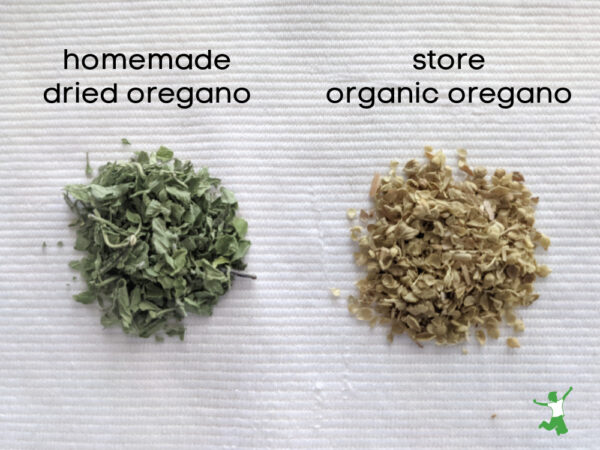 Homemade Dried Oregano | Healthy Home Economist