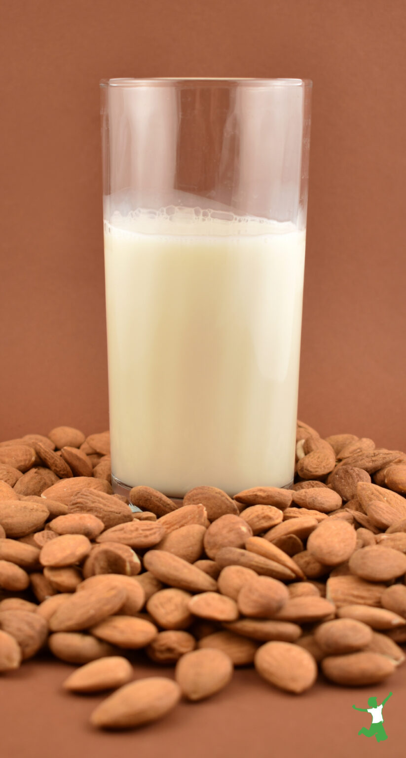 Sprouted Almond Milk Healthy Home Economist