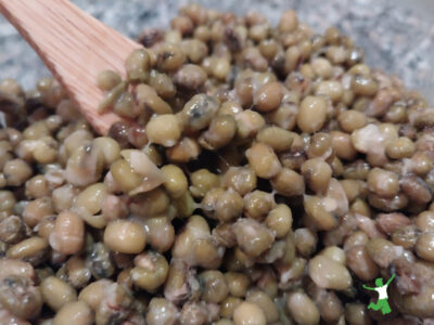 soy-free natto in glass bowl with bamboo fork