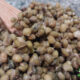 soy-free natto in glass bowl with bamboo fork