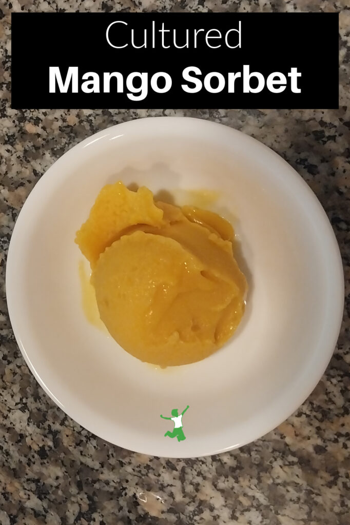 probiotic mango sorbet in white bowl granite background