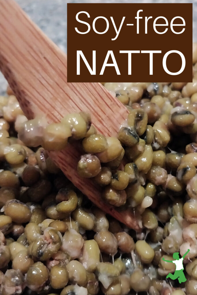 homemade soy-free natto in bowl with wooden fork