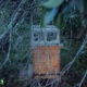 beehive with tree fallen on it during a hurricane