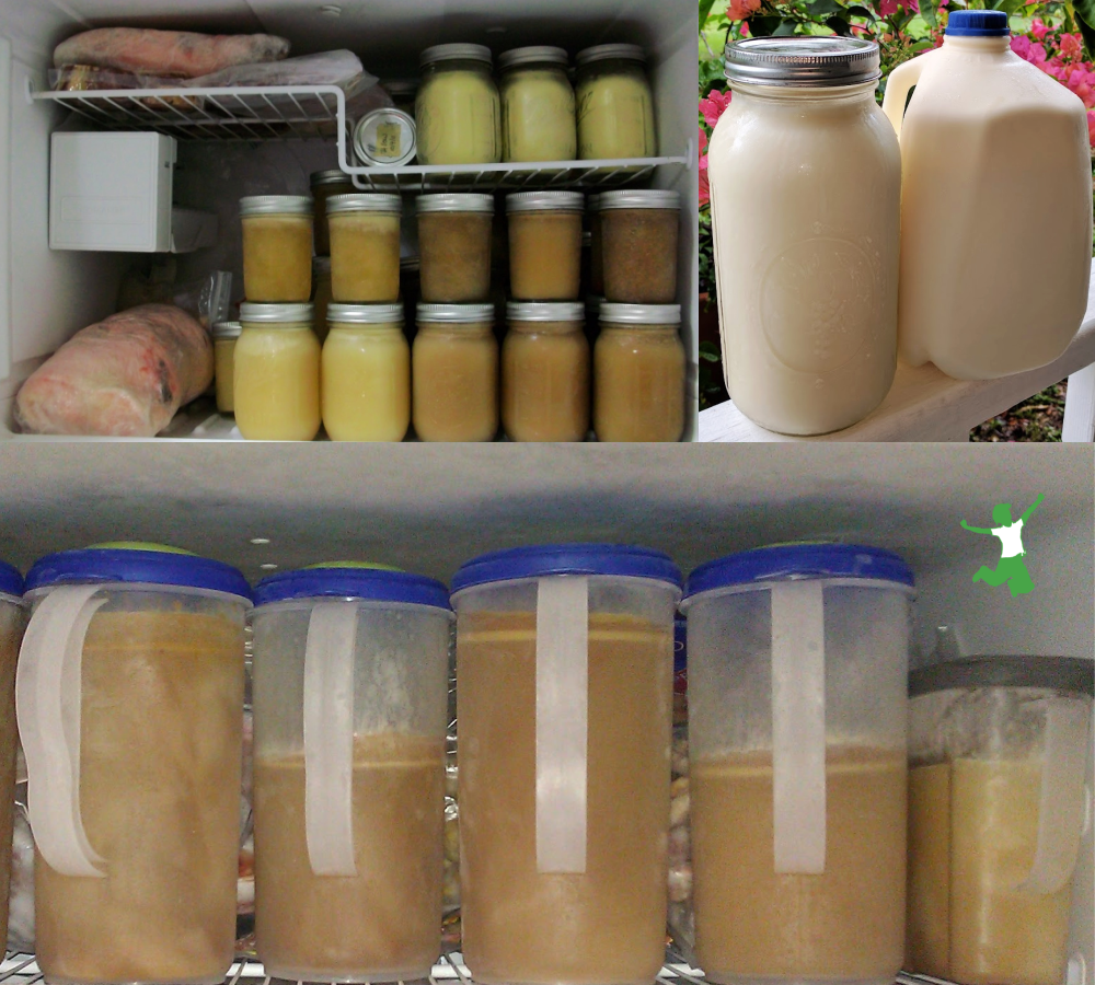 best freezer containers for preserving food