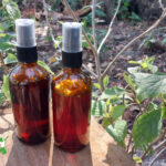 American beautyberry bug spray in amber bottles