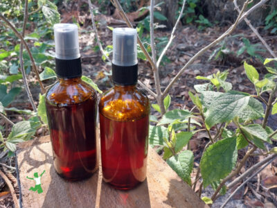 American beautyberry bug spray in amber bottles